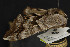  ( - NOC15027)  @12 [ ] Unspecified (default): All Rights Reserved  Unspecified Unspecified
