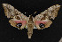  ( - NOC15028)  @12 [ ] Unspecified (default): All Rights Reserved  Unspecified Unspecified