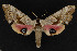  ( - NOC15029)  @12 [ ] Unspecified (default): All Rights Reserved  Unspecified Unspecified