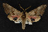  ( - NOC15030)  @11 [ ] Unspecified (default): All Rights Reserved  Unspecified Unspecified