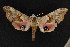 ( - NOC15032)  @11 [ ] Unspecified (default): All Rights Reserved  Unspecified Unspecified