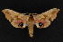  ( - NOC15033)  @14 [ ] Unspecified (default): All Rights Reserved  Unspecified Unspecified