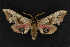  ( - NOC15034)  @12 [ ] Unspecified (default): All Rights Reserved  Unspecified Unspecified