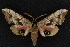  ( - NOC15035)  @12 [ ] Unspecified (default): All Rights Reserved  Unspecified Unspecified