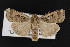  ( - CNC LEP00052219)  @13 [ ] Unspecified (default): All Rights Reserved  Unspecified Unspecified