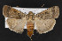  ( - CNC LEP00052221)  @13 [ ] Unspecified (default): All Rights Reserved  Unspecified Unspecified