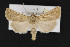  ( - CNC LEP00052226)  @13 [ ] Unspecified (default): All Rights Reserved  Unspecified Unspecified