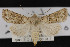  ( - CNC LEP00052227)  @13 [ ] Unspecified (default): All Rights Reserved  Unspecified Unspecified