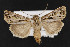  ( - CNC LEP00052228)  @13 [ ] Unspecified (default): All Rights Reserved  Unspecified Unspecified