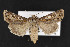  ( - CNC LEP00052230)  @14 [ ] Unspecified (default): All Rights Reserved  Unspecified Unspecified