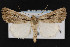  ( - CNC LEP00052244)  @12 [ ] Unspecified (default): All Rights Reserved  Unspecified Unspecified