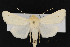  ( - CNC LEP00052248)  @13 [ ] Unspecified (default): All Rights Reserved  Unspecified Unspecified