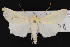  ( - CNC LEP00052249)  @13 [ ] Unspecified (default): All Rights Reserved  Unspecified Unspecified