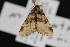  ( - CNC LEP00052260)  @13 [ ] Unspecified (default): All Rights Reserved  Unspecified Unspecified