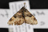 ( - CNC LEP00052261)  @13 [ ] Unspecified (default): All Rights Reserved  Unspecified Unspecified