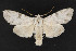  ( - CNC LEP00052262)  @13 [ ] Unspecified (default): All Rights Reserved  Unspecified Unspecified