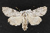  ( - CNC LEP00052263)  @13 [ ] Unspecified (default): All Rights Reserved  Unspecified Unspecified