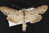  ( - CNC LEP00052306)  @14 [ ] Unspecified (default): All Rights Reserved  Unspecified Unspecified
