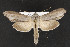  ( - CNC LEP00052308)  @13 [ ] Unspecified (default): All Rights Reserved  Unspecified Unspecified