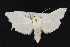  ( - CNC LEP00052310)  @14 [ ] Unspecified (default): All Rights Reserved  Unspecified Unspecified