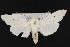  ( - CNC LEP00052311)  @13 [ ] Unspecified (default): All Rights Reserved  Unspecified Unspecified
