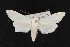  ( - CNC LEP00052312)  @14 [ ] Unspecified (default): All Rights Reserved  Unspecified Unspecified