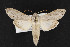  ( - CNC LEP00052316)  @14 [ ] Unspecified (default): All Rights Reserved  Unspecified Unspecified
