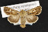  ( - CNC LEP00052333)  @13 [ ] Unspecified (default): All Rights Reserved  Unspecified Unspecified