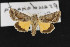  ( - CNC LEP00052349)  @13 [ ] Unspecified (default): All Rights Reserved  Unspecified Unspecified