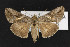  ( - CNC LEP00052358)  @12 [ ] Unspecified (default): All Rights Reserved  Unspecified Unspecified