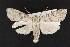  ( - CNC LEP00052364)  @14 [ ] Unspecified (default): All Rights Reserved  Unspecified Unspecified