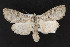  ( - CNC LEP00052365)  @13 [ ] Unspecified (default): All Rights Reserved  Unspecified Unspecified