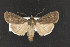  ( - CNC LEP00052382)  @12 [ ] Unspecified (default): All Rights Reserved  Unspecified Unspecified