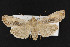  ( - CNC LEP00052385)  @14 [ ] Unspecified (default): All Rights Reserved  Unspecified Unspecified