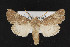  ( - CNC LEP00052403)  @13 [ ] Unspecified (default): All Rights Reserved  Unspecified Unspecified