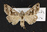  ( - CNC LEP00052439)  @12 [ ] Unspecified (default): All Rights Reserved  Unspecified Unspecified