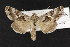  ( - CNC LEP00052441)  @12 [ ] Unspecified (default): All Rights Reserved  Unspecified Unspecified