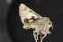  ( - CNC LEP00052451)  @11 [ ] Unspecified (default): All Rights Reserved  Unspecified Unspecified