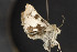  ( - CNC LEP00052452)  @11 [ ] Unspecified (default): All Rights Reserved  Unspecified Unspecified