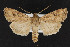  ( - CNC LEP00052478)  @14 [ ] Unspecified (default): All Rights Reserved  Unspecified Unspecified