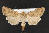  ( - CNC LEP00052479)  @13 [ ] Unspecified (default): All Rights Reserved  Unspecified Unspecified