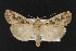  ( - CNC LEP00052480)  @12 [ ] Unspecified (default): All Rights Reserved  Unspecified Unspecified