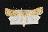 ( - CNC LEP00052489)  @13 [ ] Unspecified (default): All Rights Reserved  Unspecified Unspecified