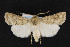  ( - CNC LEP00052492)  @12 [ ] Unspecified (default): All Rights Reserved  Unspecified Unspecified
