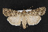  ( - CNC LEP00052494)  @13 [ ] Unspecified (default): All Rights Reserved  Unspecified Unspecified