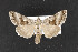  ( - CNC LEP00052499)  @12 [ ] Unspecified (default): All Rights Reserved  Unspecified Unspecified
