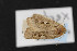  ( - CNC LEP00052857)  @12 [ ] Unspecified (default): All Rights Reserved  Unspecified Unspecified
