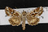  ( - CNC LEP00052897)  @13 [ ] Unspecified (default): All Rights Reserved  Unspecified Unspecified