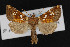  ( - CNC LEP00052902)  @14 [ ] Unspecified (default): All Rights Reserved  Unspecified Unspecified
