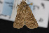  ( - CNC LEP00052943)  @11 [ ] Unspecified (default): All Rights Reserved  Unspecified Unspecified